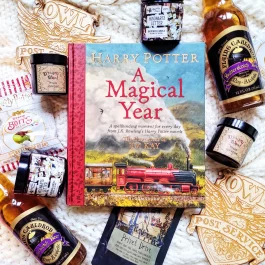 Harry Potter : A Magical Year – Jim Kay 21r.